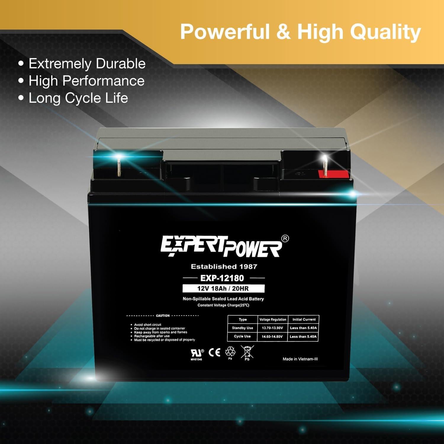 Batería de Plomo Ácido ExpertPower EXP12180 12V 18Ah