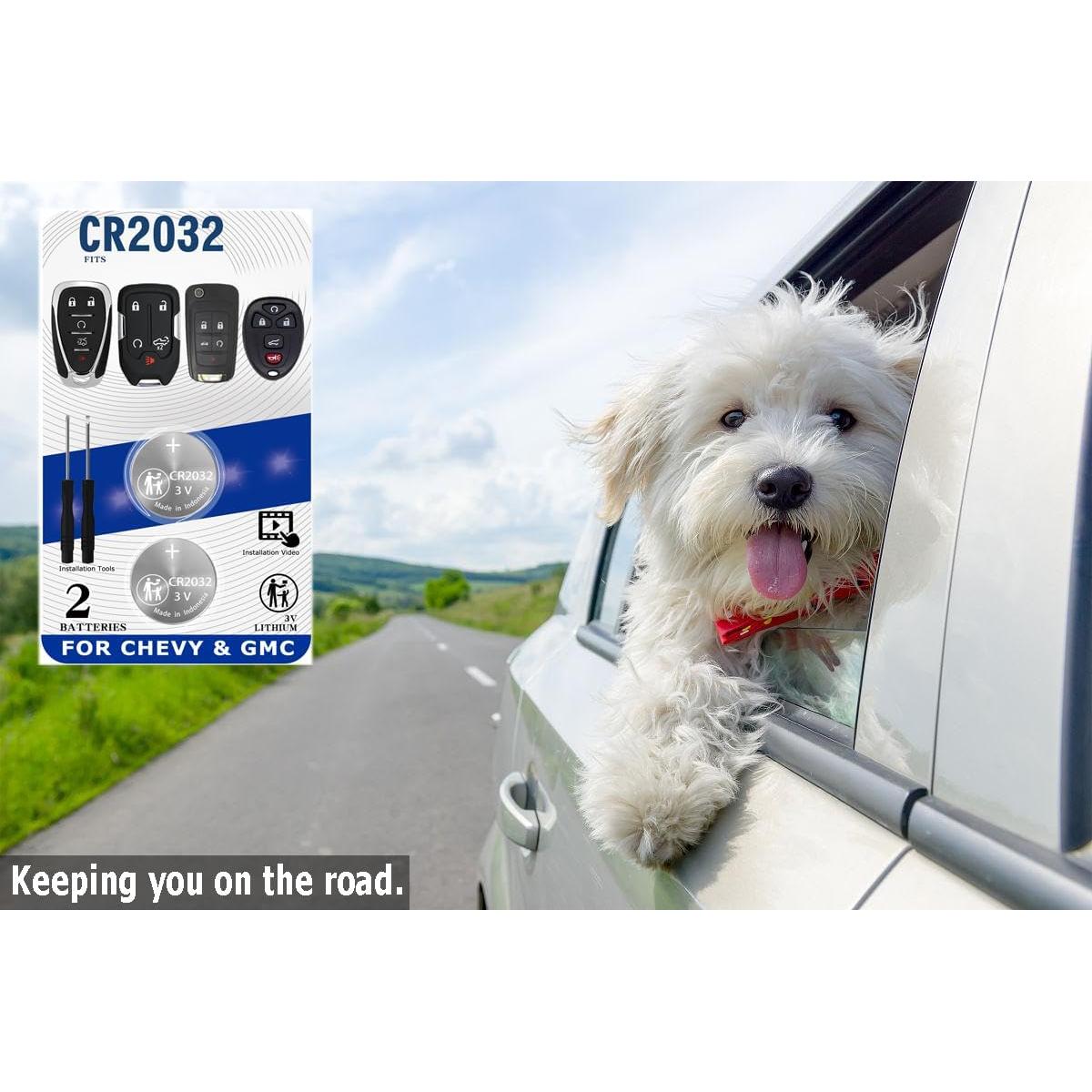 Baterías CR2032 para Llave Remota Chevy GMC - 2 Piezas