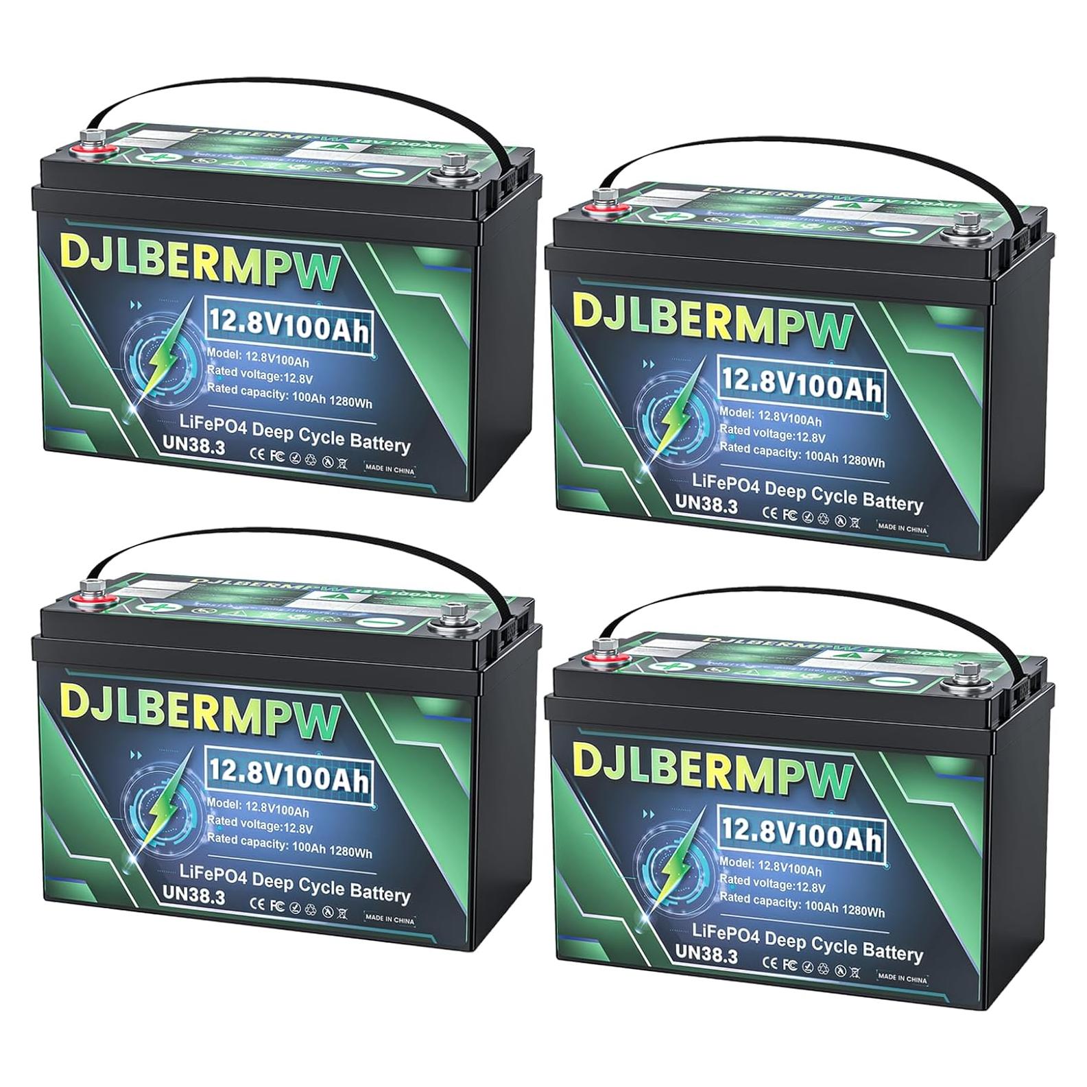 Batería de Litio LiFePO4 48V 100Ah DJLBERMPW para RV y Solar