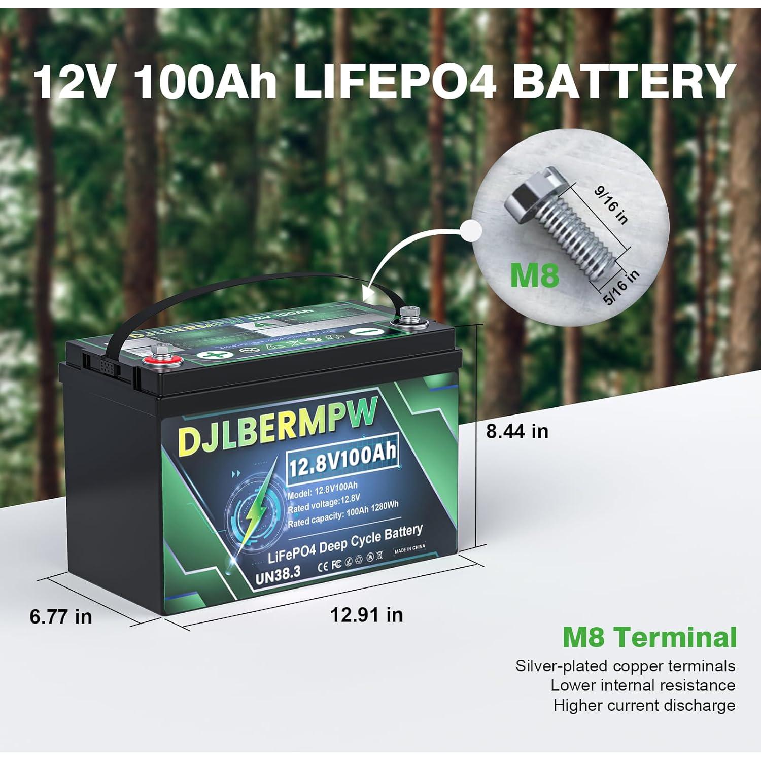 Batería de Litio LiFePO4 48V 100Ah DJLBERMPW para RV y Solar