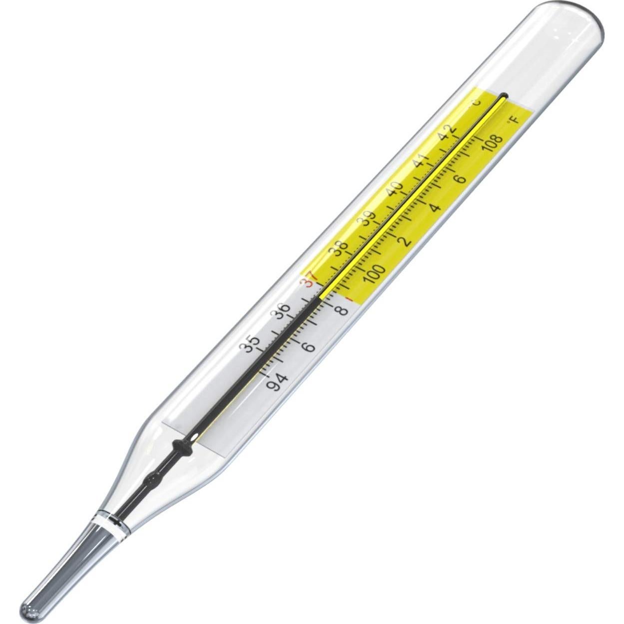 Termómetros clínicos de vidrio SEABOOM 2pcs sin mercurio C&F