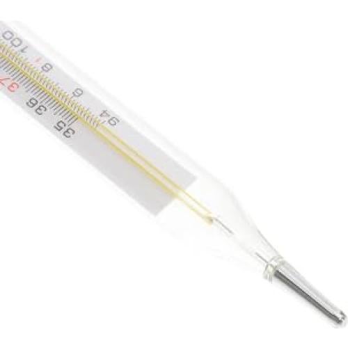 Termómetro de vidrio oral JOINPAYA 12.5 cm 2 piezas lectura rápida