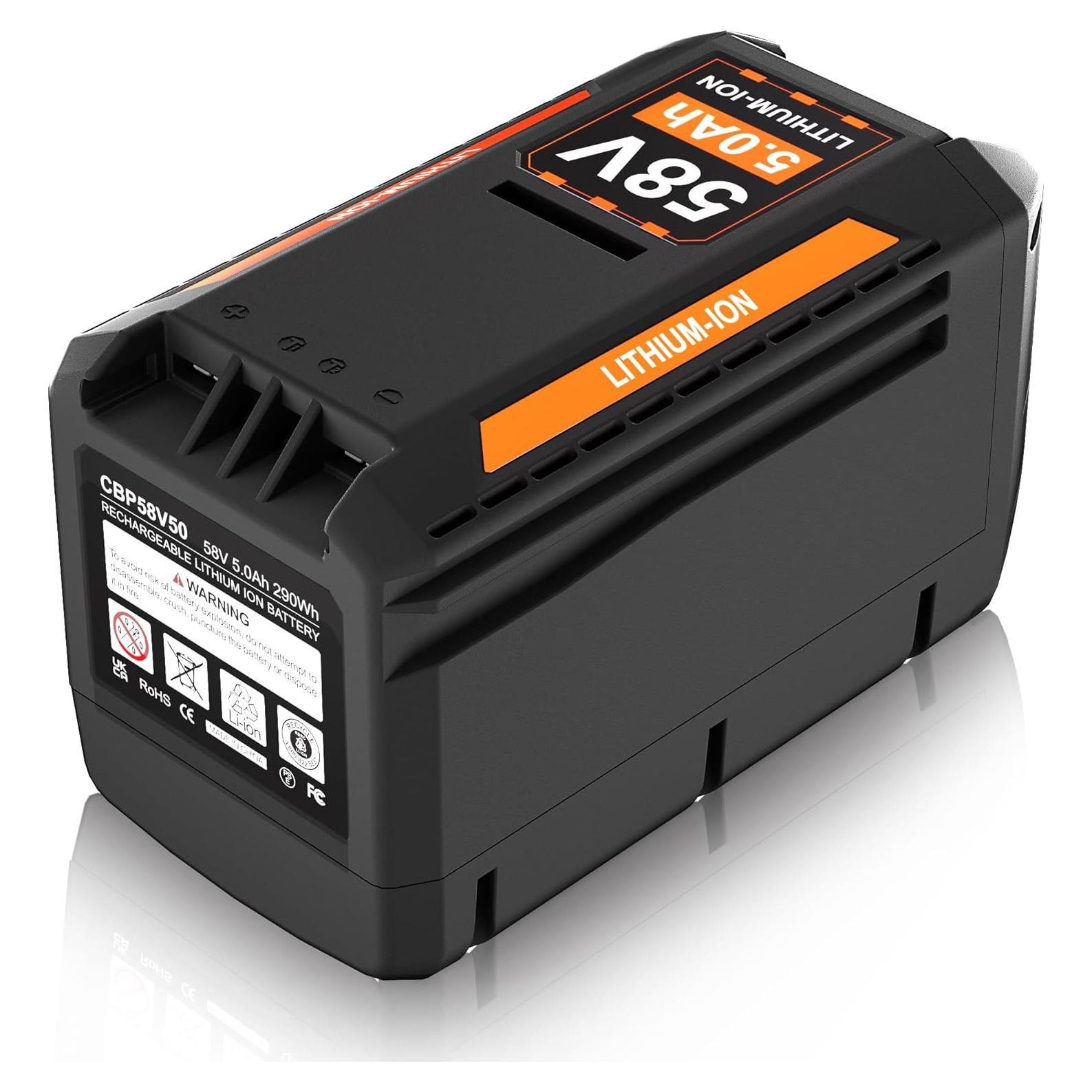 Batería de Litio DSANKE 58V 5.0Ah para Herramientas Echo