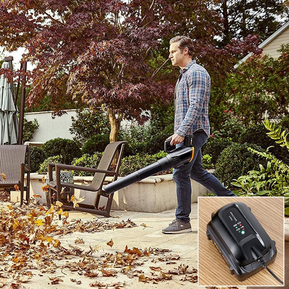 Cargador de Batería Lasica WA3742 Compatible Worx 20V