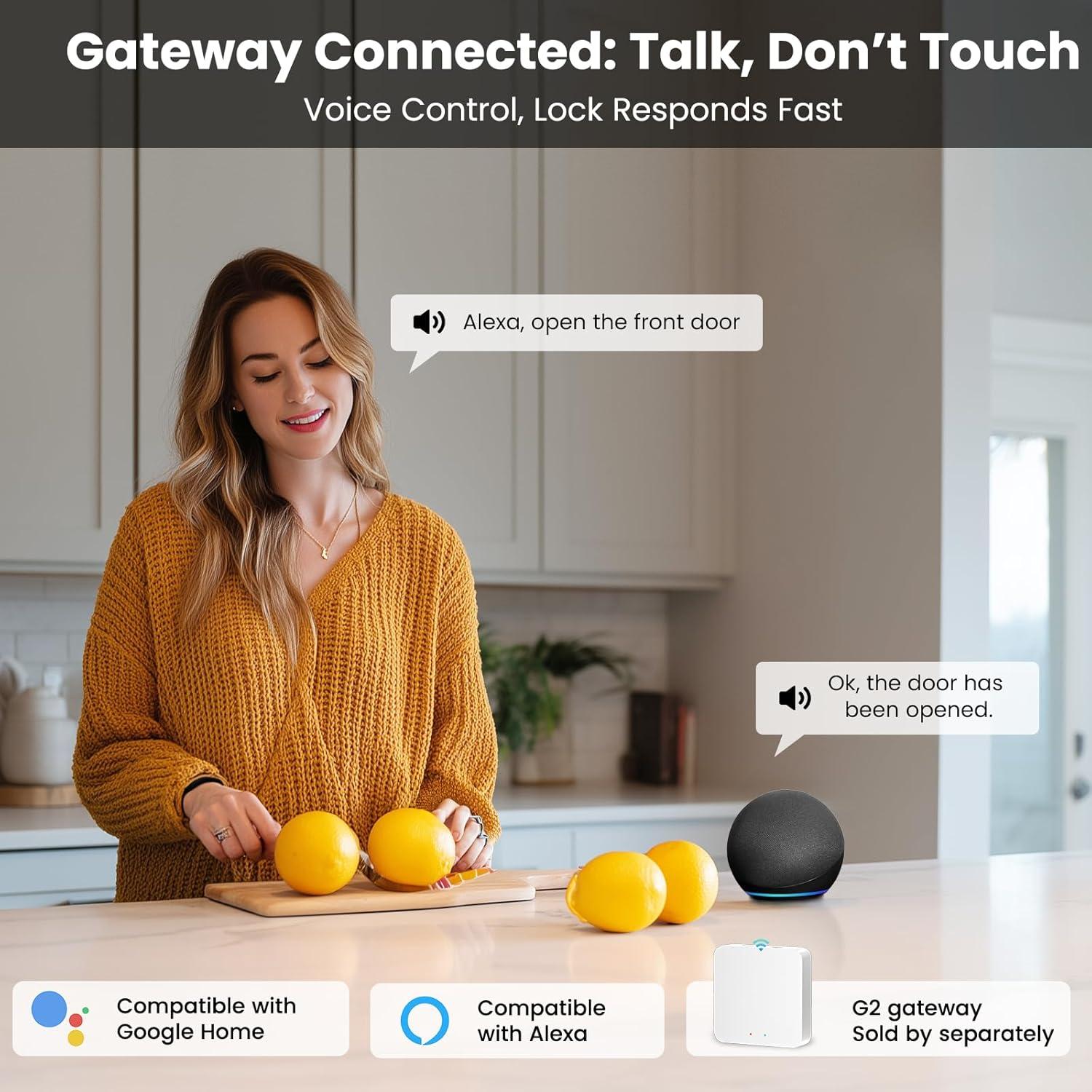 Cerradura Inteligente Biquole QEK-S03 con Huella Dactilar y App