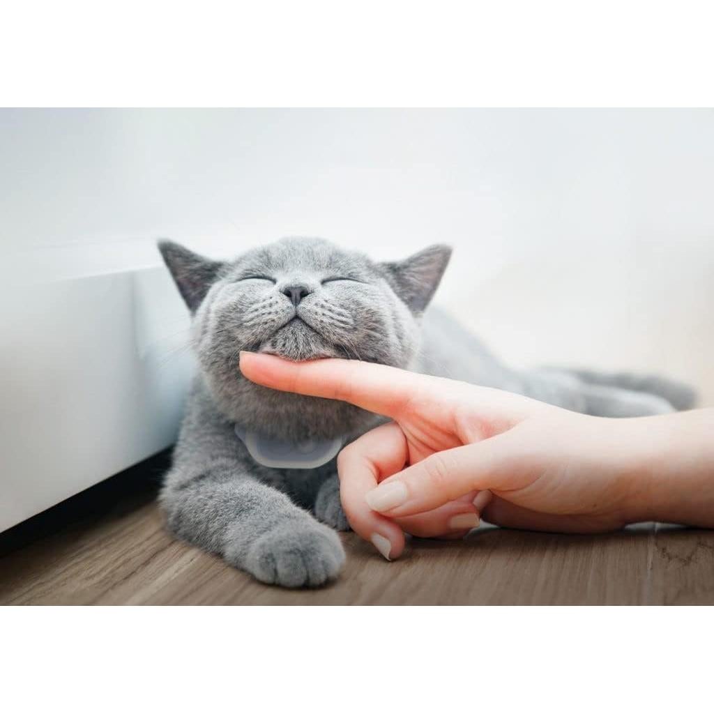 Fundas Protectores Loc8tor Tabcat v2 - Paquete de 2 Turquesa