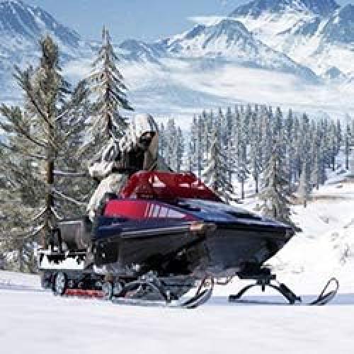 Cargador Solar de Mantenimiento de Batería 10W Renogy 12V