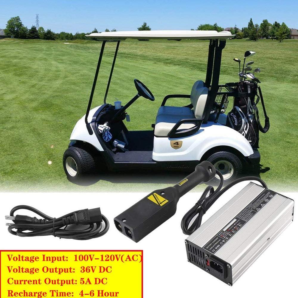 Cargador de Batería de Carro de Golf LIYYOO 36V 5A Powerwise