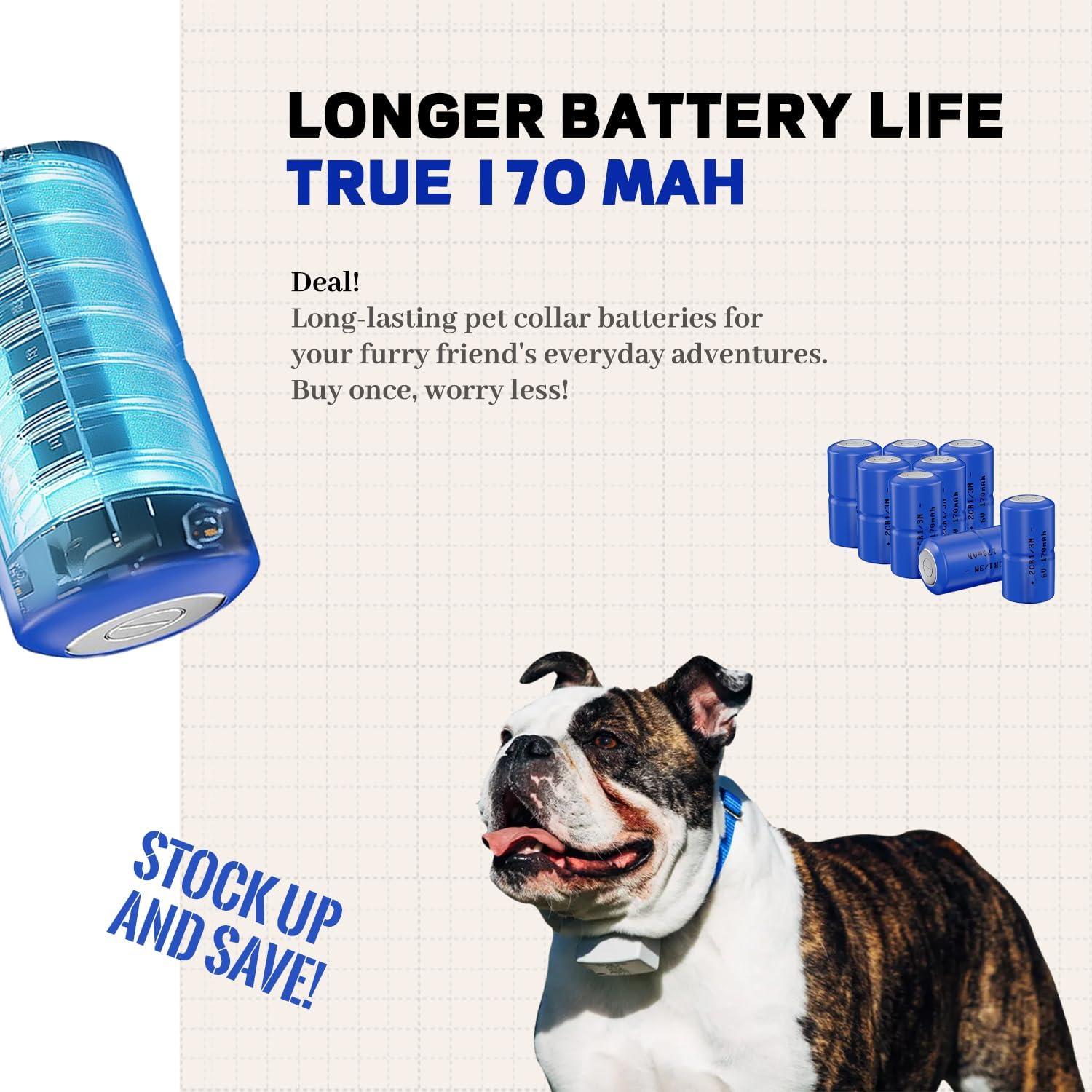 Paquete de 8 Baterías 6V 2CR1/3N para Collares de Perro