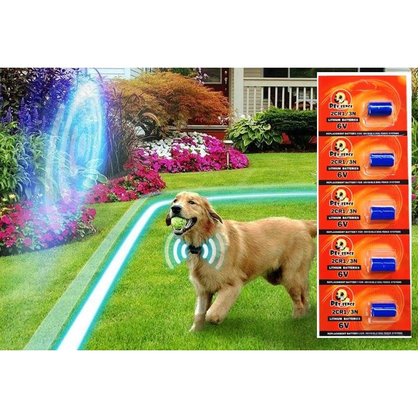 Batería de 6V para Collares de Cerca Invisible Pet Stop - Paquete de 5