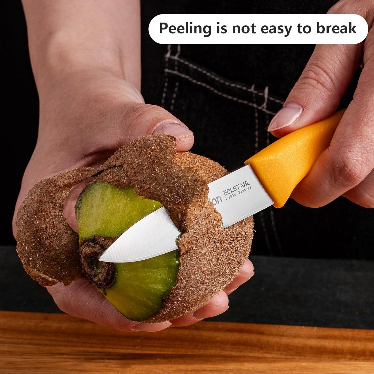 Juego de cuchillos de pelar Ruffulon 6 piezas acero inoxidable