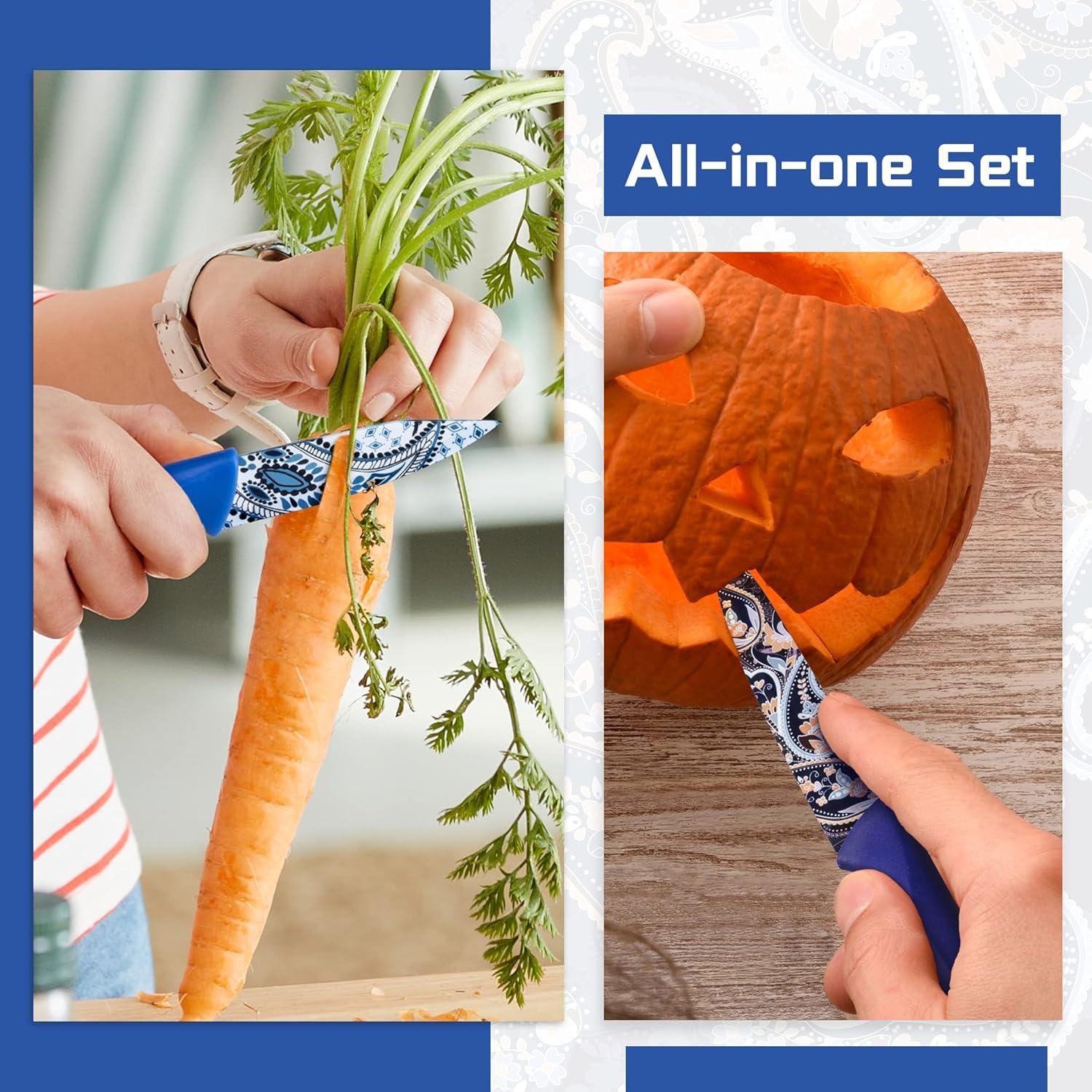 Juego de cuchillos 12 piezas Astercook paisley acero inoxidable