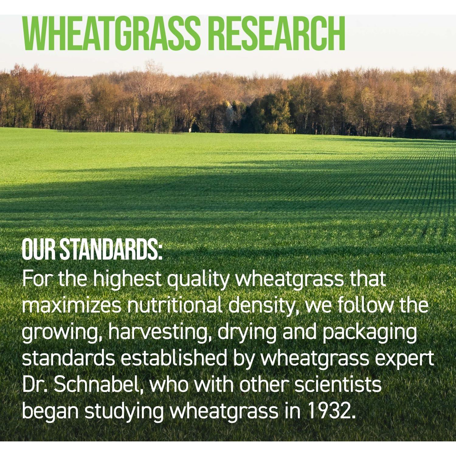 Tabletas de Pasto de Trigo Orgánico On Target Living - 500 Unidades