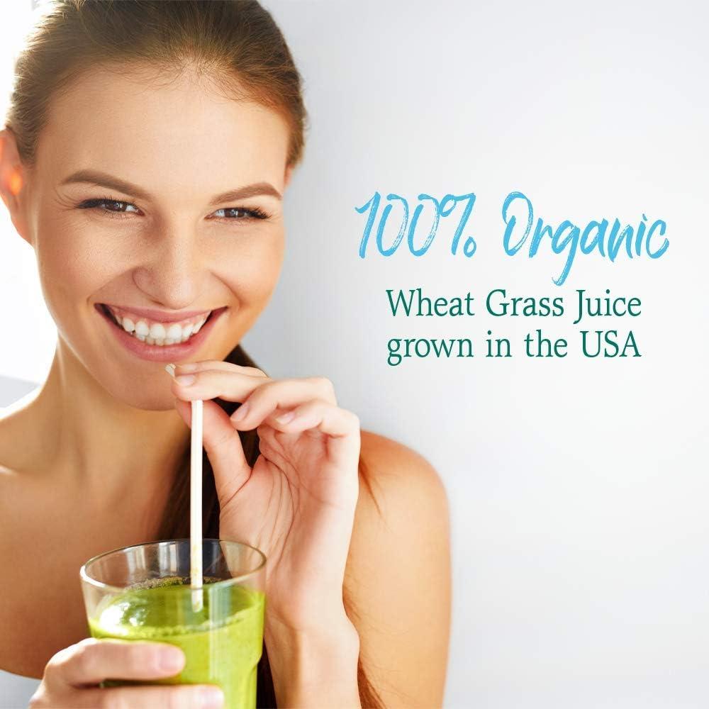 Jardín de Vida Jugo de Pasto de Trigo Orgánico 240g - Superalimento