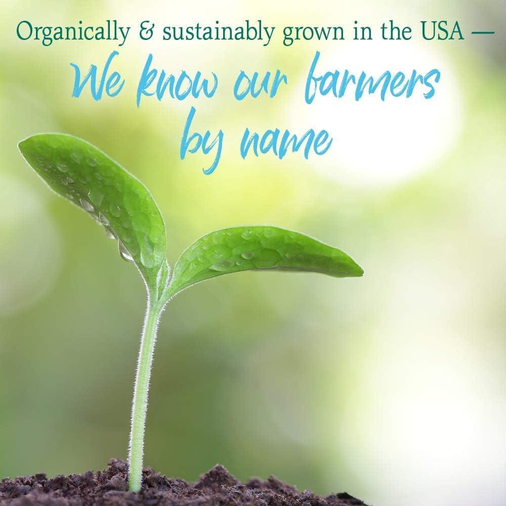 Jardín de Vida Jugo de Pasto de Trigo Orgánico 240g - Superalimento