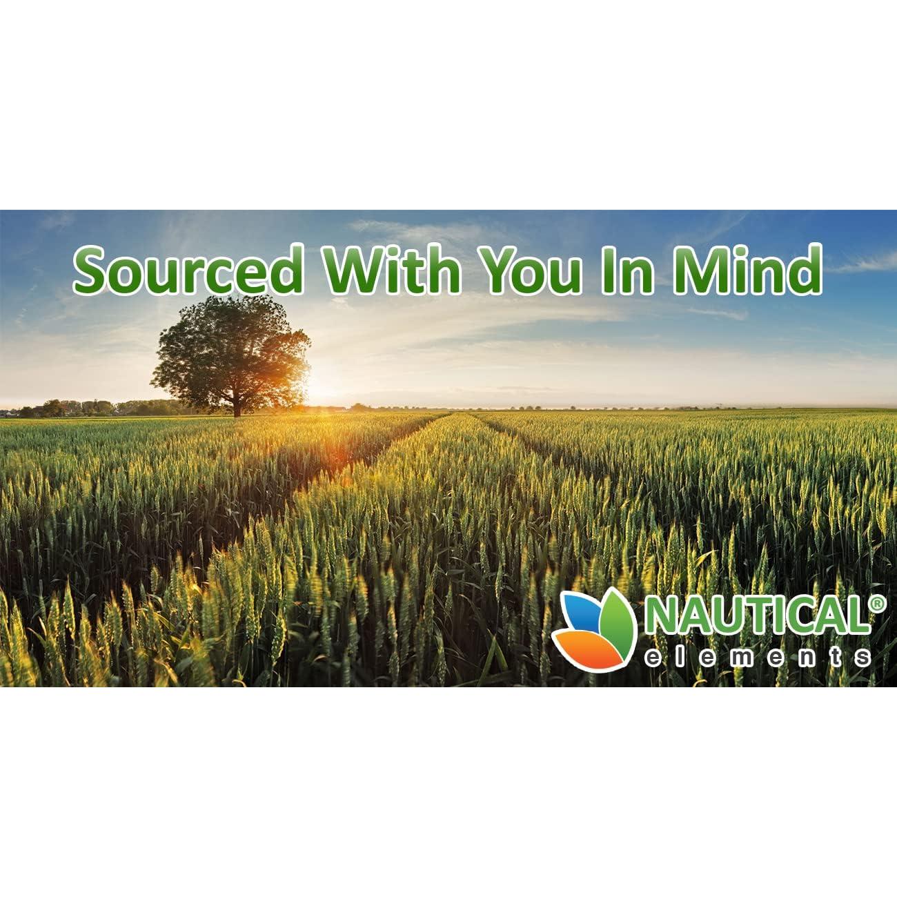 Polvo de pasto de trigo orgánico Sonoran Nutra 198g