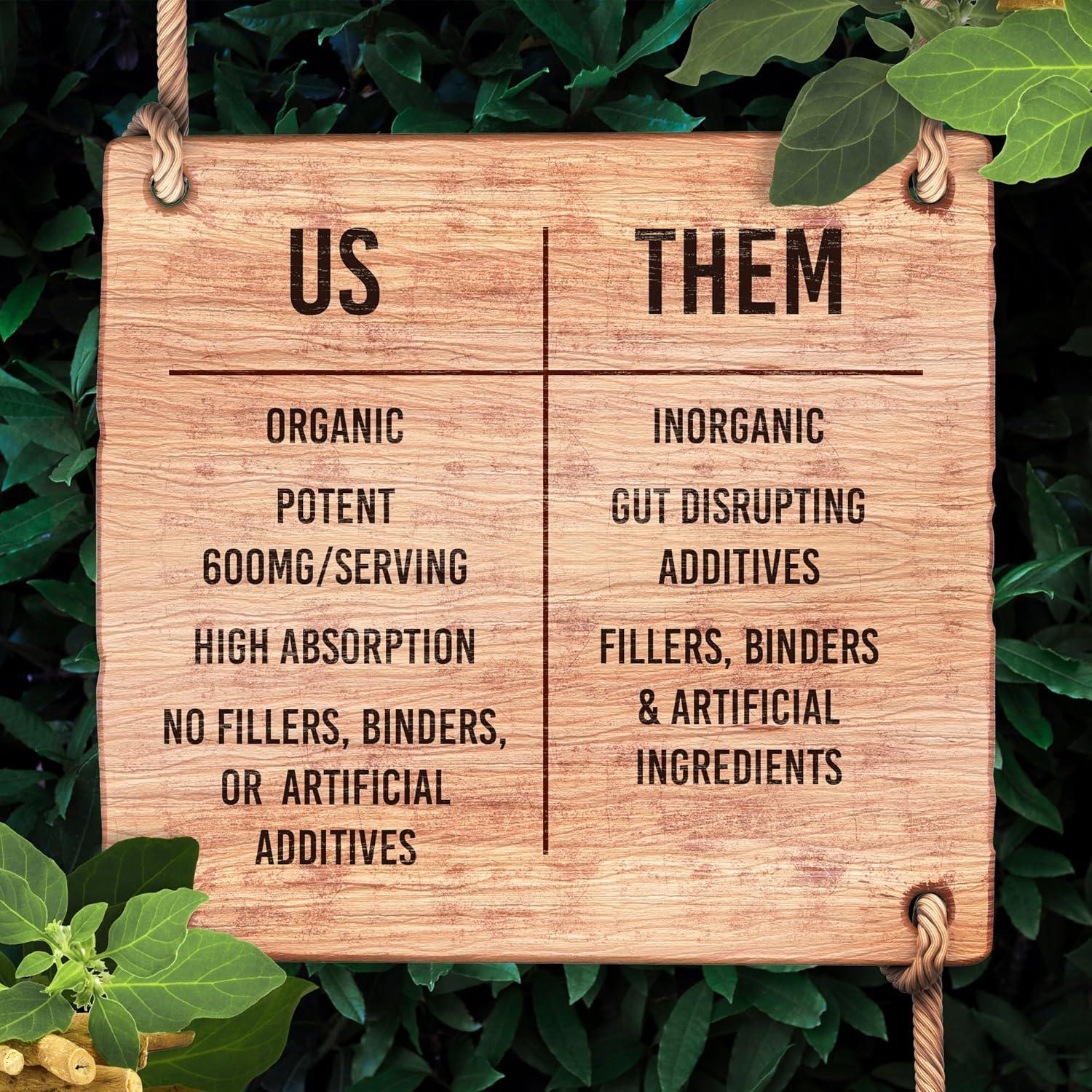 Cápsulas de Ashwagandha Santa Cruz Paleo 600mg 60 Unidades