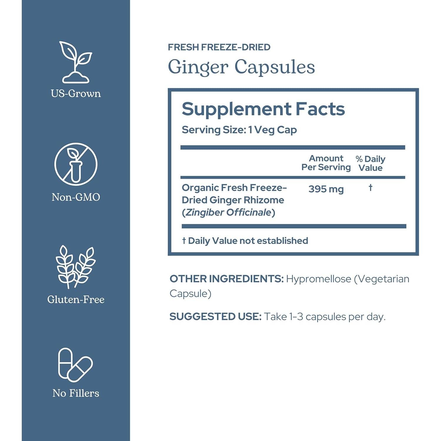 Jengibre Liofilizado Crudo Instituto Eclético 90 Cápsulas