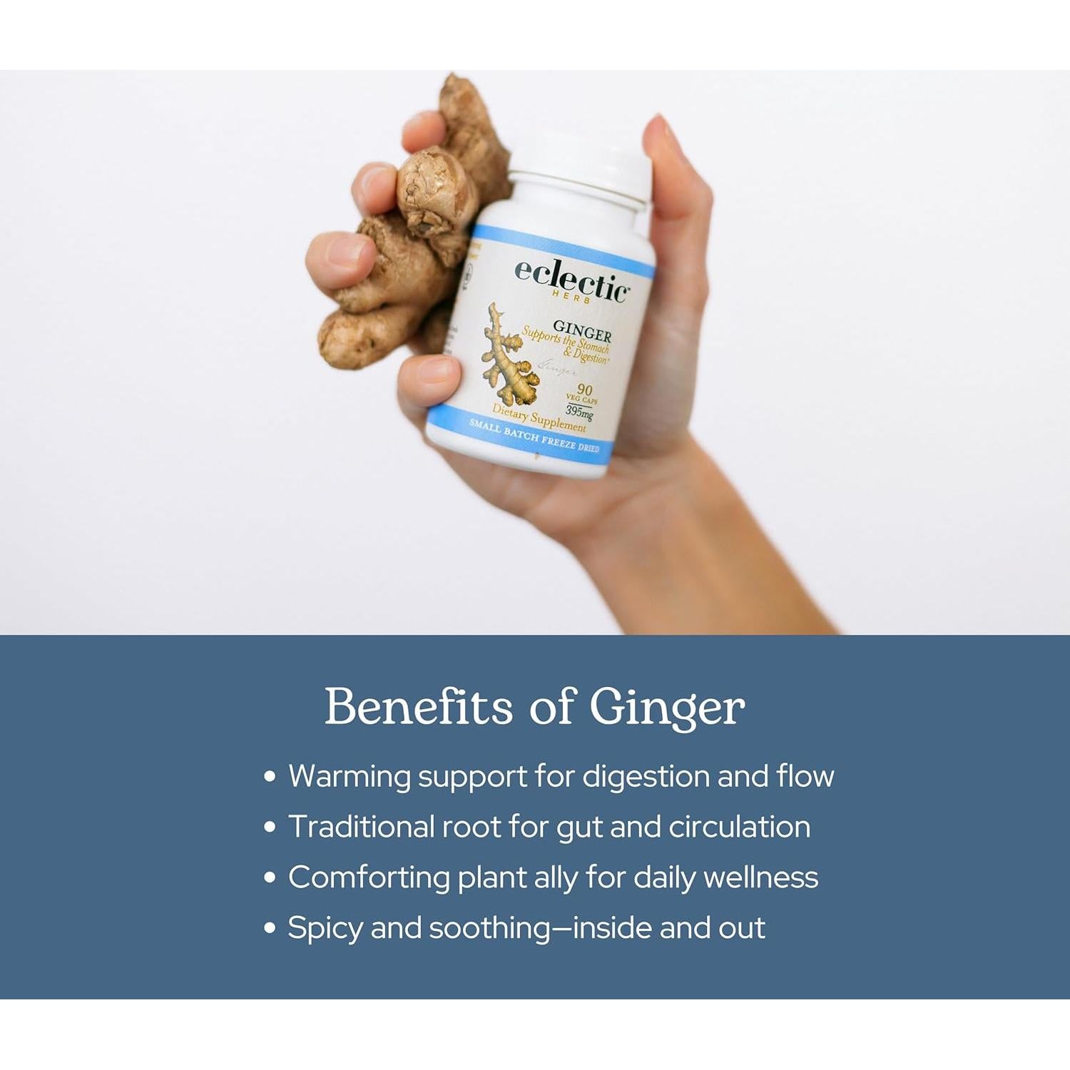 Jengibre Liofilizado Crudo Instituto Eclético 90 Cápsulas