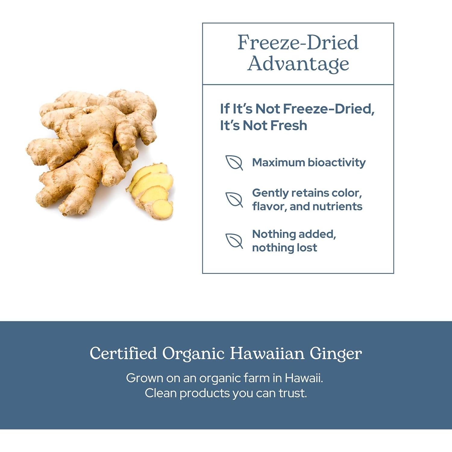 Jengibre Liofilizado Crudo Instituto Eclético 90 Cápsulas