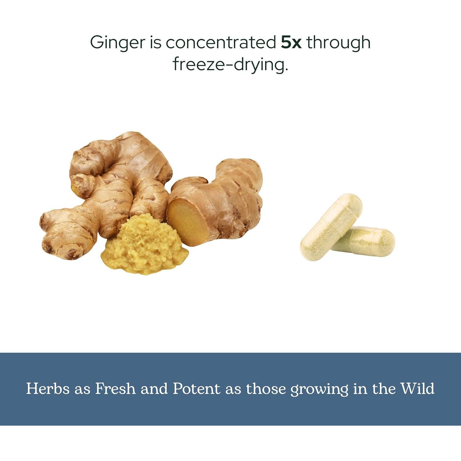 Jengibre Liofilizado Crudo Instituto Eclético 90 Cápsulas