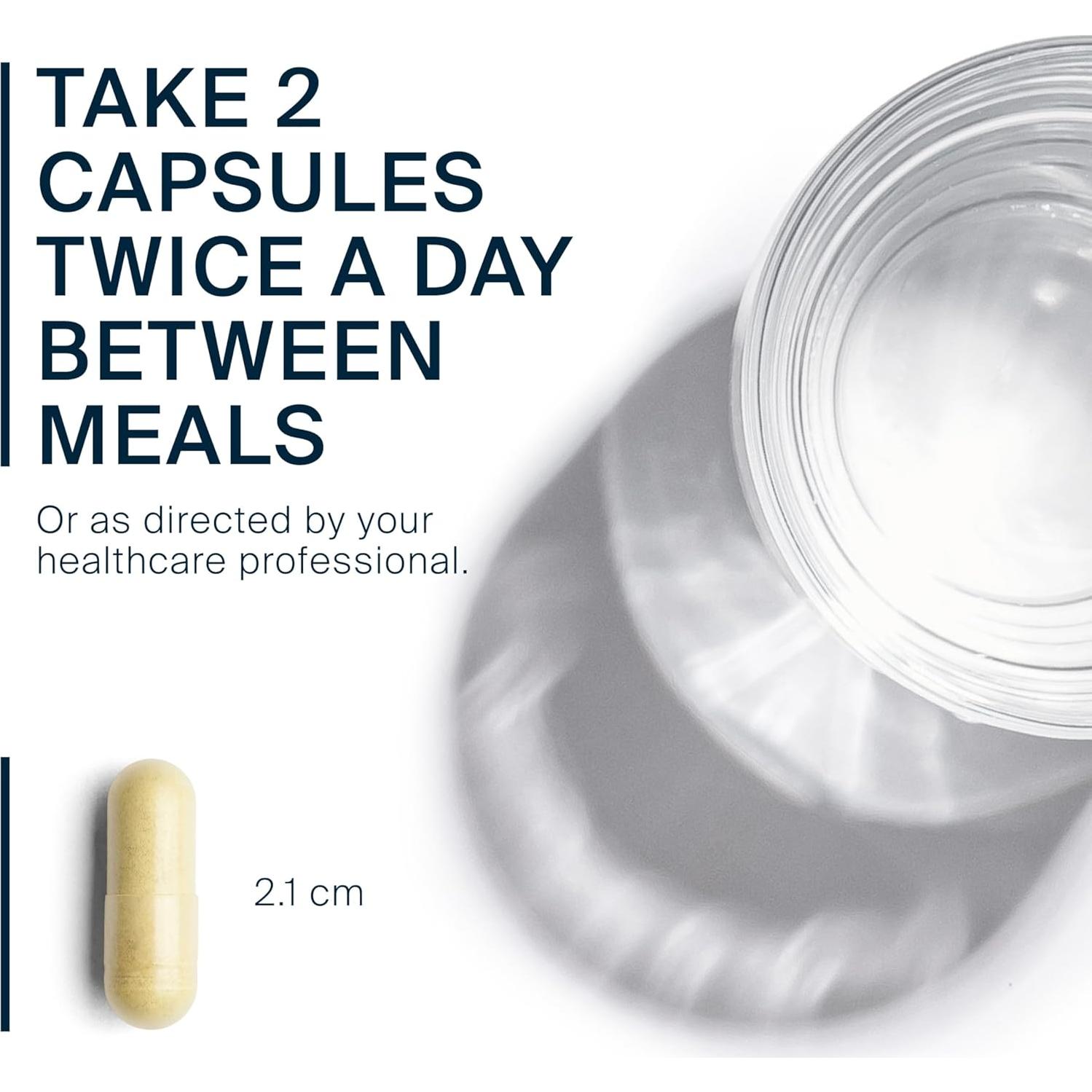 Suplemento Vegano Quercetina Vital Nutrients 500mg 100 Cápsulas