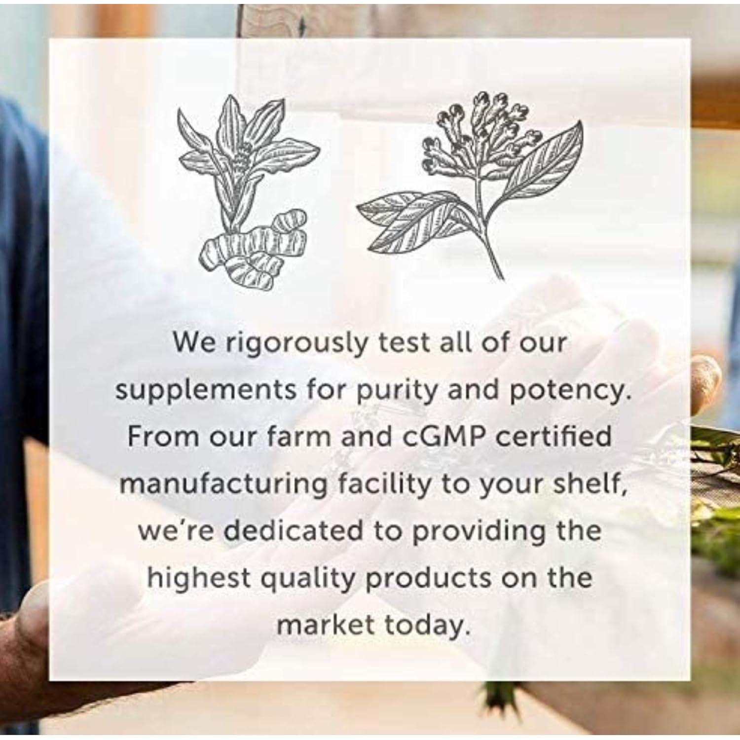 Quercetina QuerceFIT 500mg - 60 Cápsulas - Apoyo Inmunológico