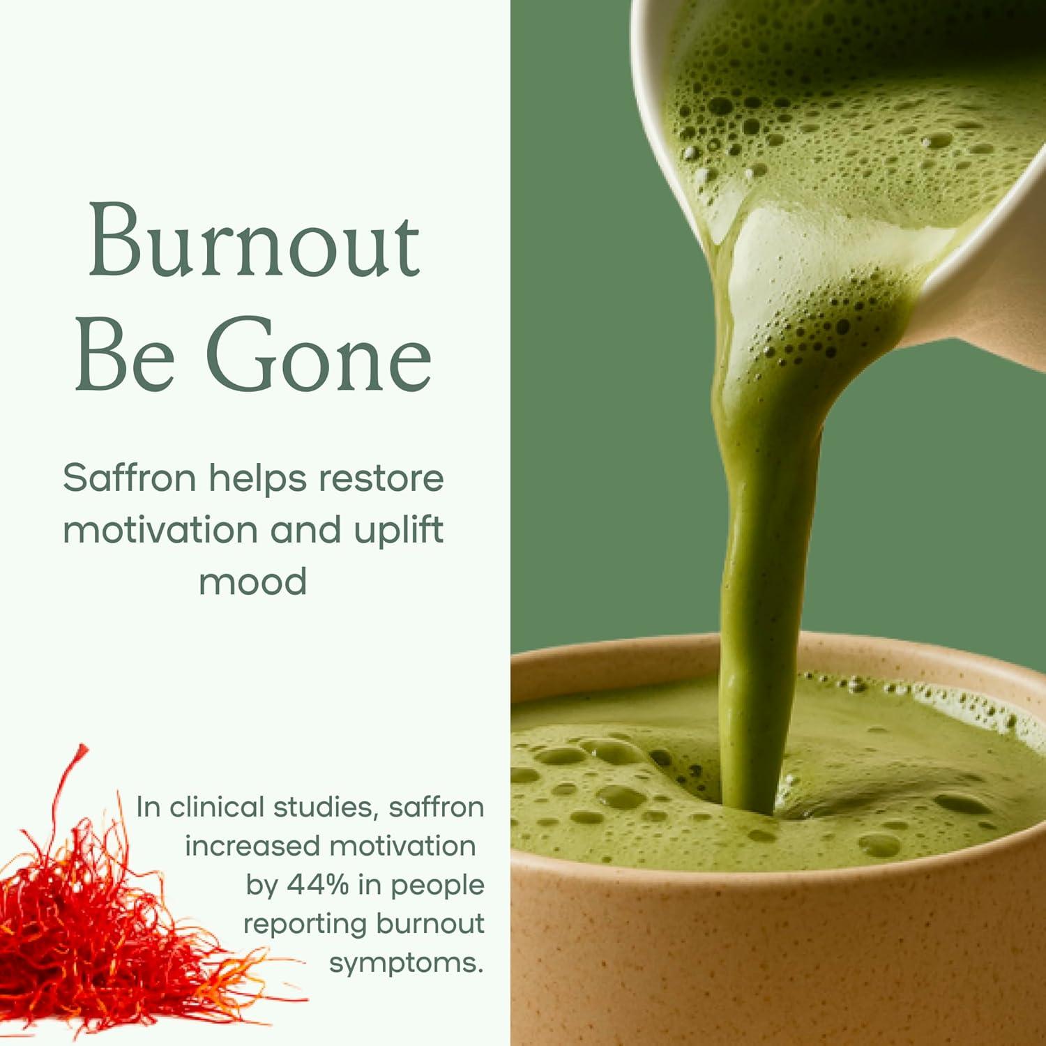 Té de Matcha Orgánico SPACE AND TIME - 148.8g - Creatividad y Energía