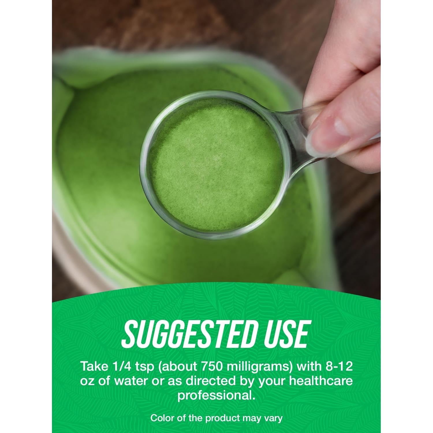 Polvo de Matcha Orgánico BulkSupplements 250g - Sin Gluten