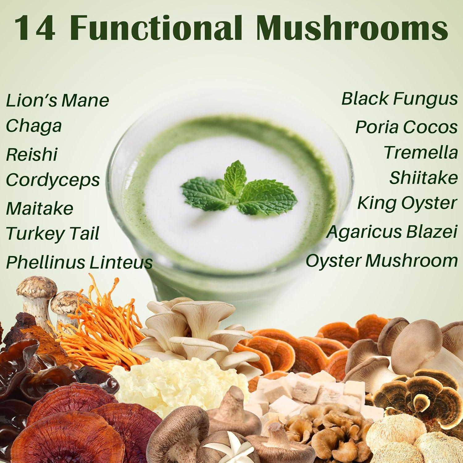 Polvo de Matcha de Hongo 14-en-1 QIN SHAN TANG 180 g