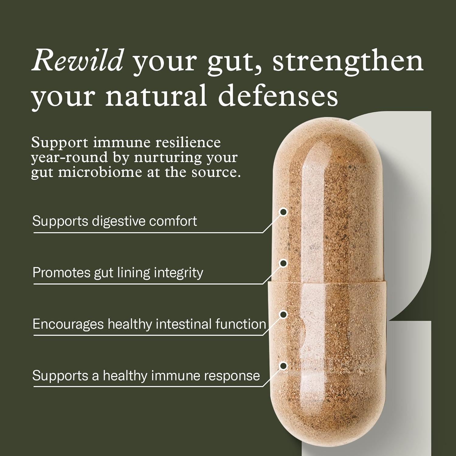 Terraflora Inmunidad Profunda - Probioticos y Prebioticos 60 Cápsulas