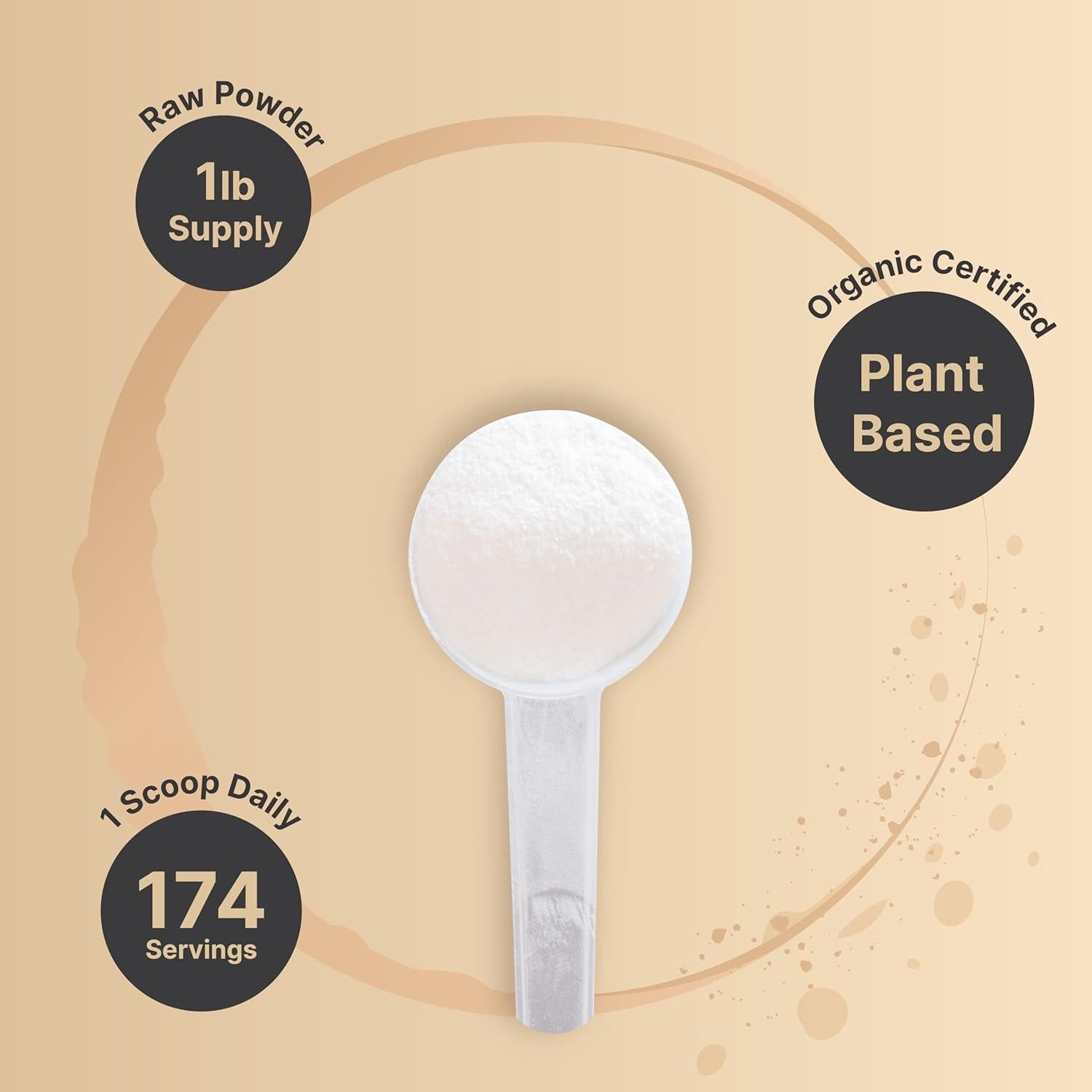 Polvo de fibra prebiotica inulina orgánica NatureBell 454g