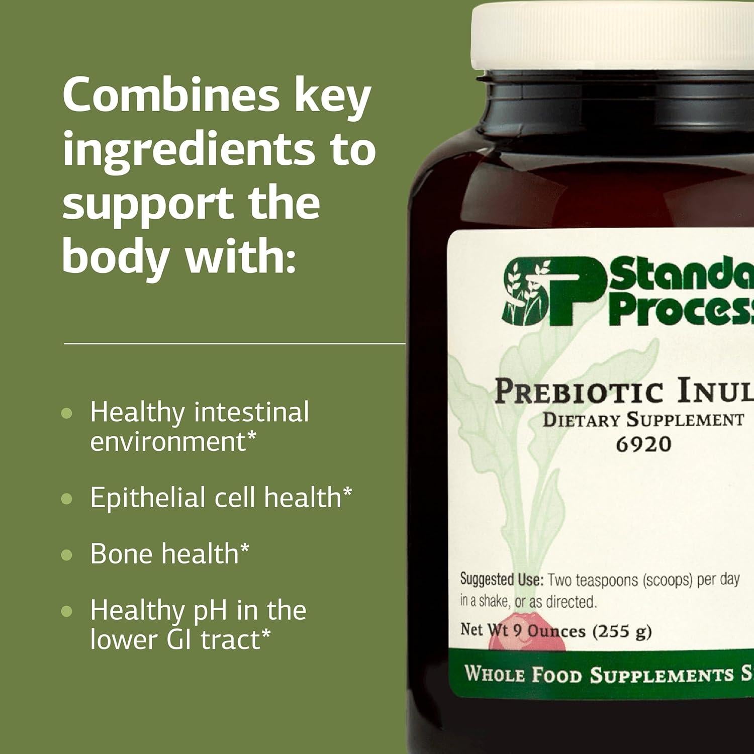 Suplemento de Inulina Prebiótica Standard Process 255g - Salud Digestiva y Ósea