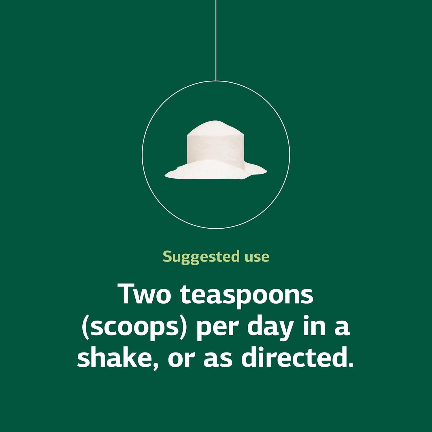 Suplemento de Inulina Prebiótica Standard Process 255g - Salud Digestiva y Ósea