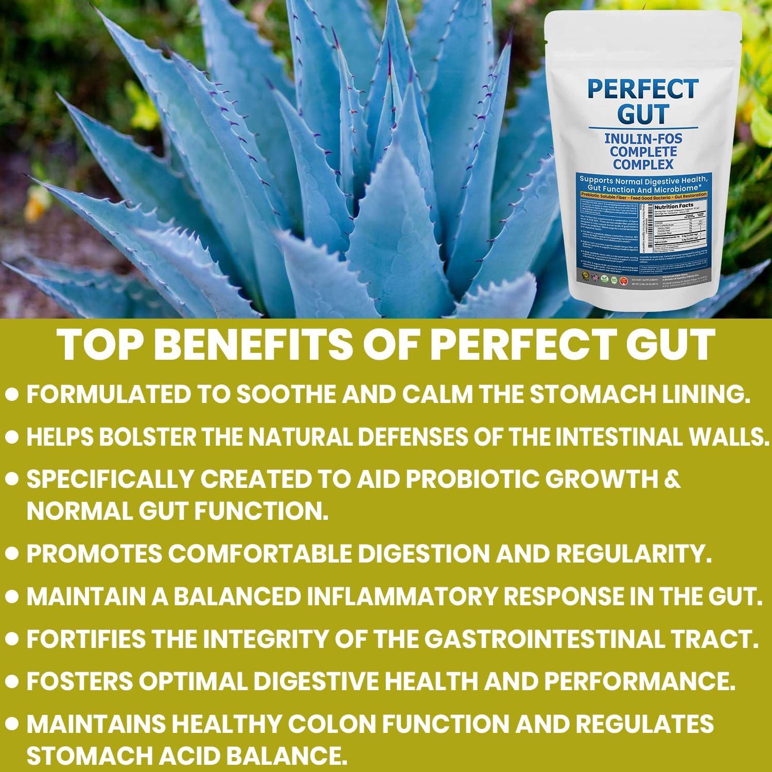 Perfect Gut Inulina FOS 95% - Suplemento Digestivo 0.9kg