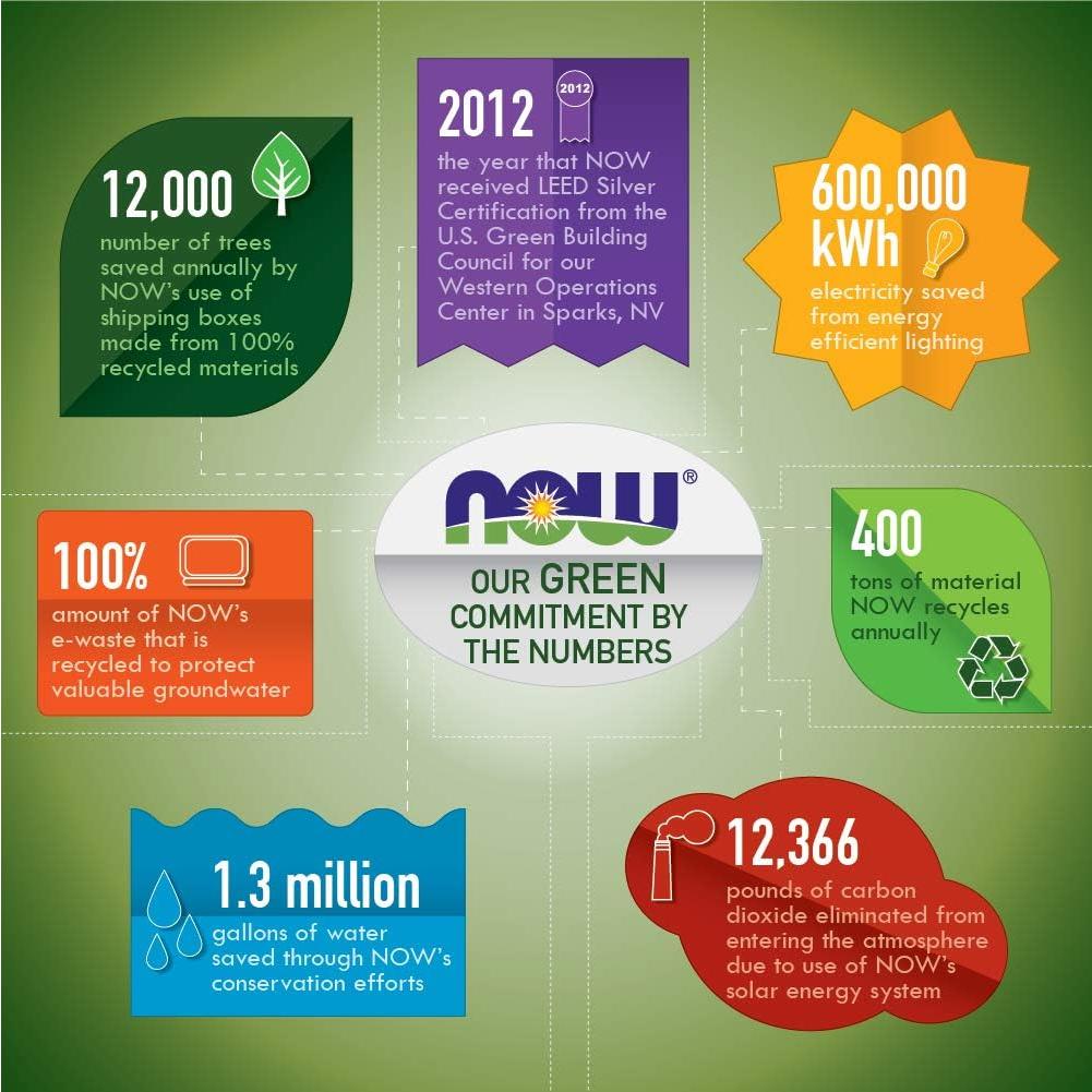 Acetil L-Carnitina 500mg NOW Foods 360 Cápsulas Veganas