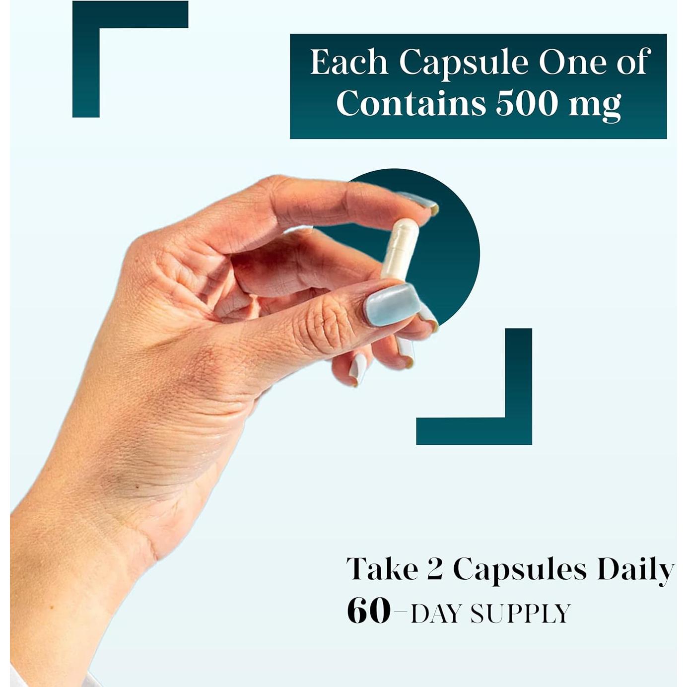 Acetil L-Carnitina 1000 mg Fido Pharma 120 Cápsulas Vegetales