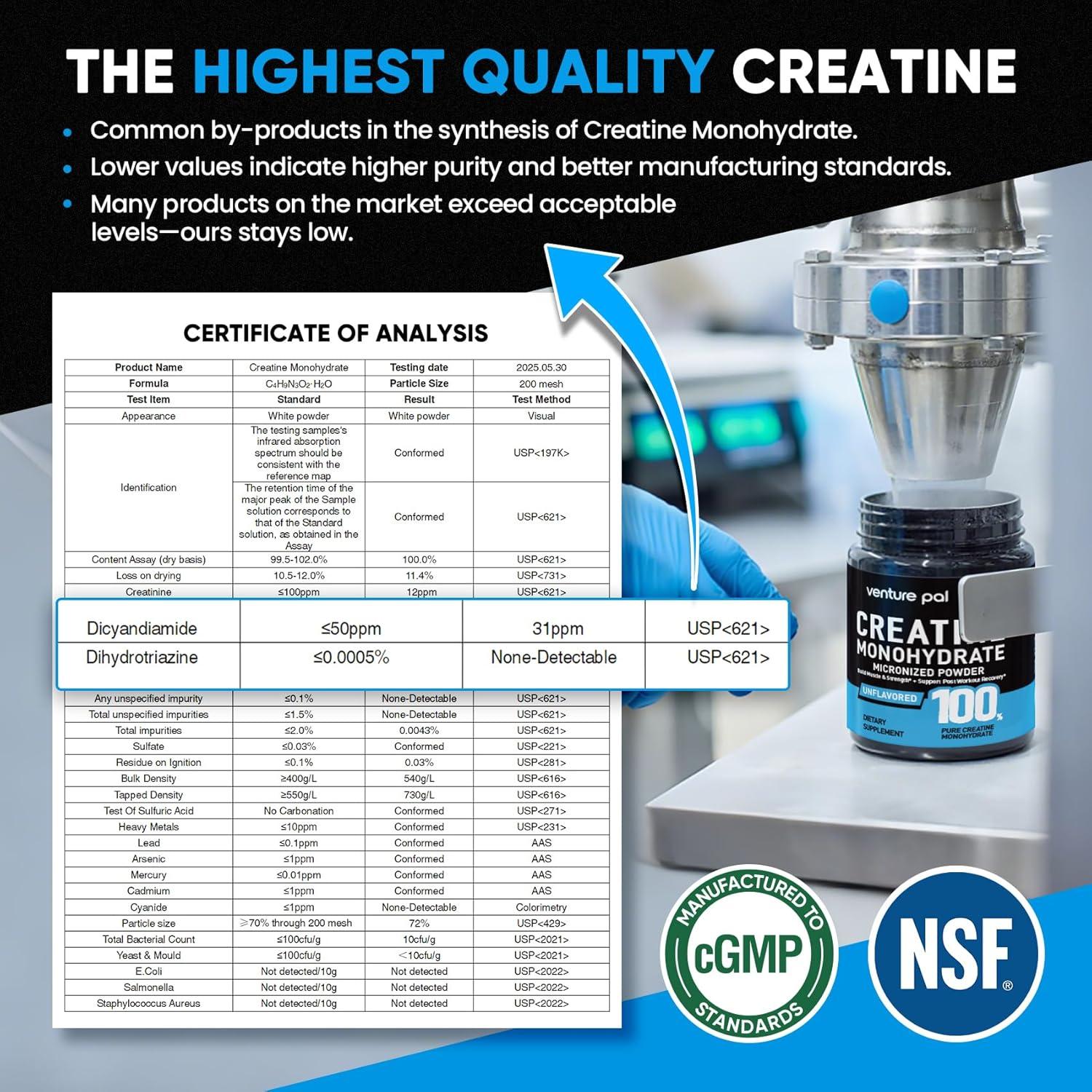 Creatina Monohidratada Micronizada Venture Pal 300g Sin Sabor