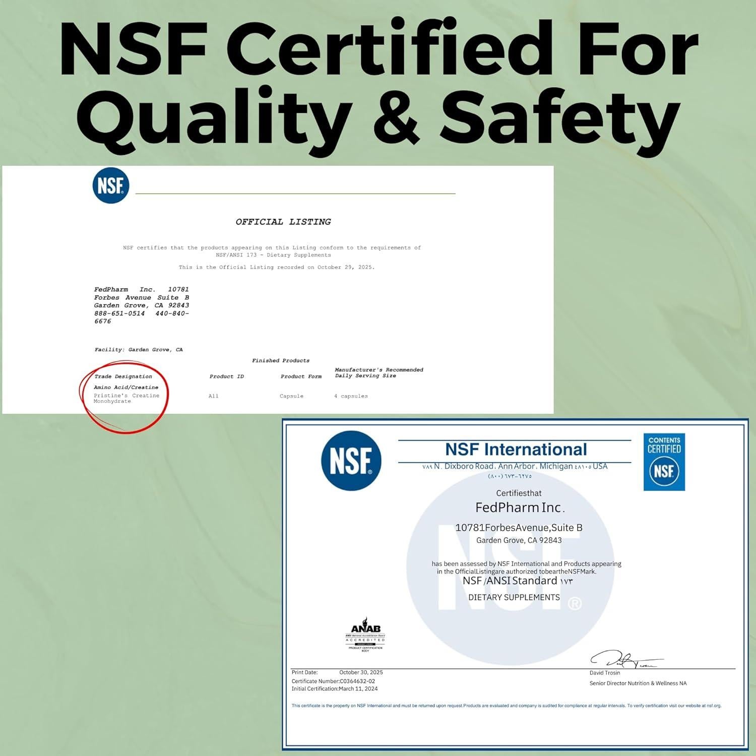 Cápsulas de Creatina Monohidratada PRISTINE 3000mg - 75 Días