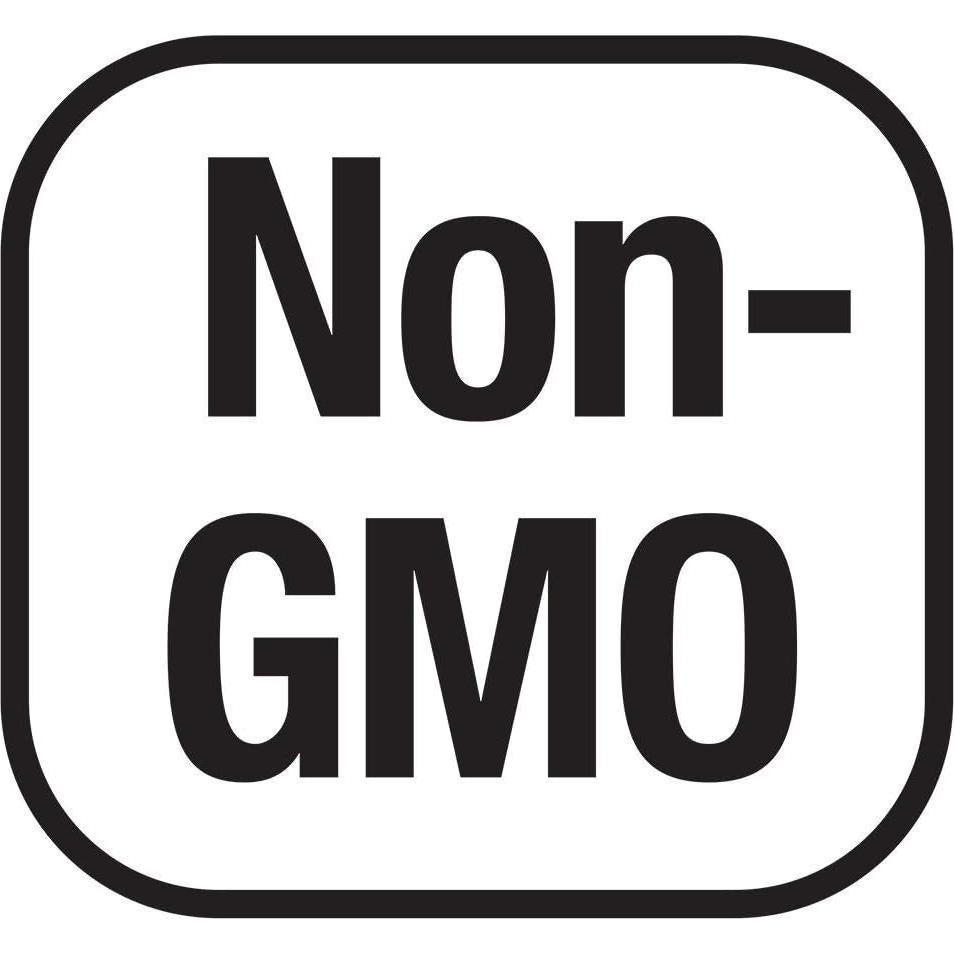 Now L-Glutamina 500mg 300 Cápsulas Veganas - Suplemento No-OGM