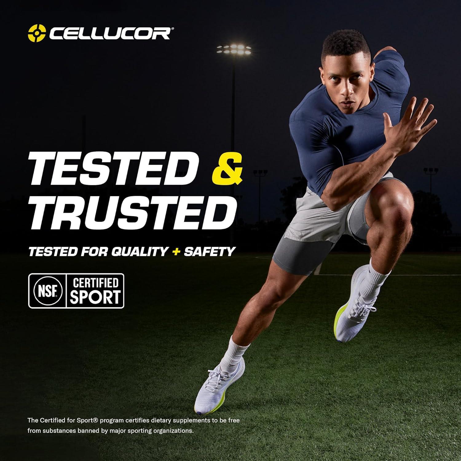 BCAA Sport Cellucor, Bebida en polvo 30 porciones Lima Cereza