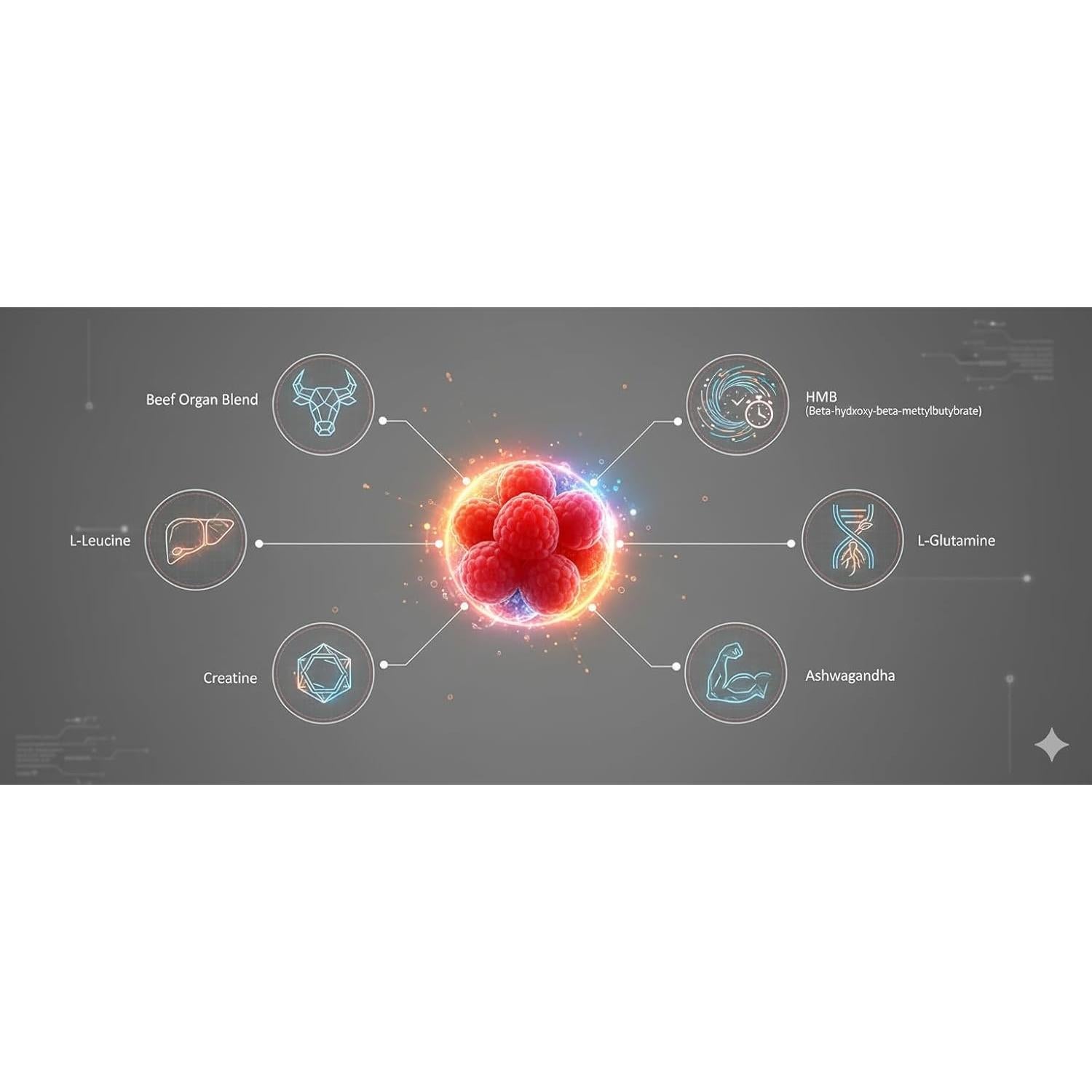 Gomitas Suplemento Órganos Res NutraPerfecto 40g Sin Azúcar