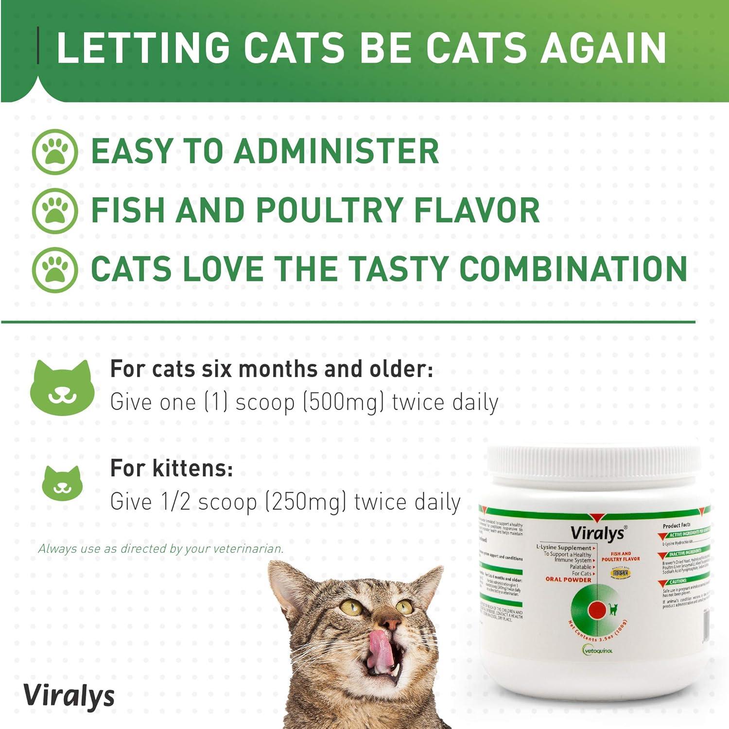 Vetoquinol Viralys Polvo L-Lisina 100g para Gatos y Gatitos