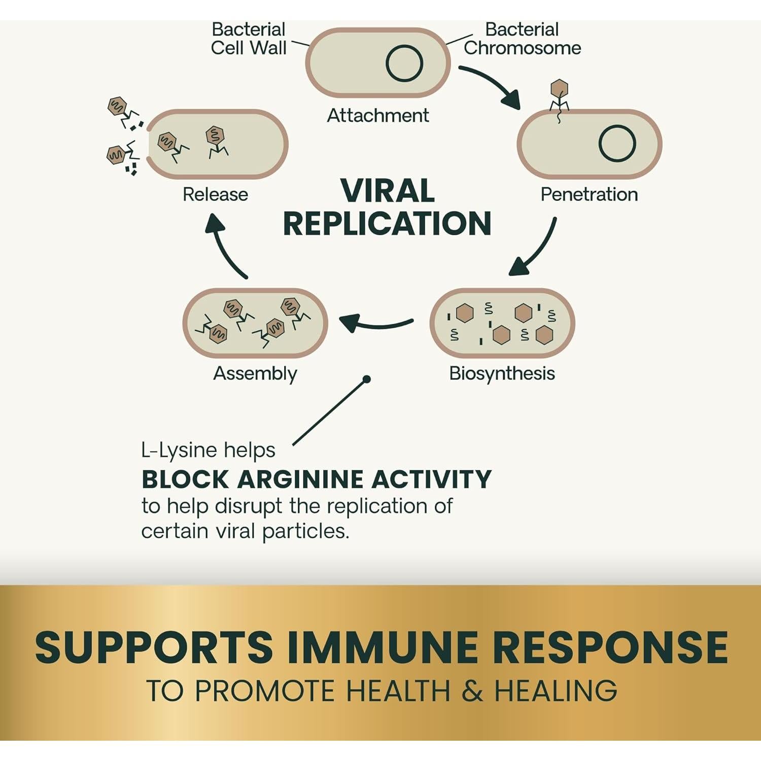 Suplemento Inmunológico para Gatos VetriScience Lisina 90 Masticables