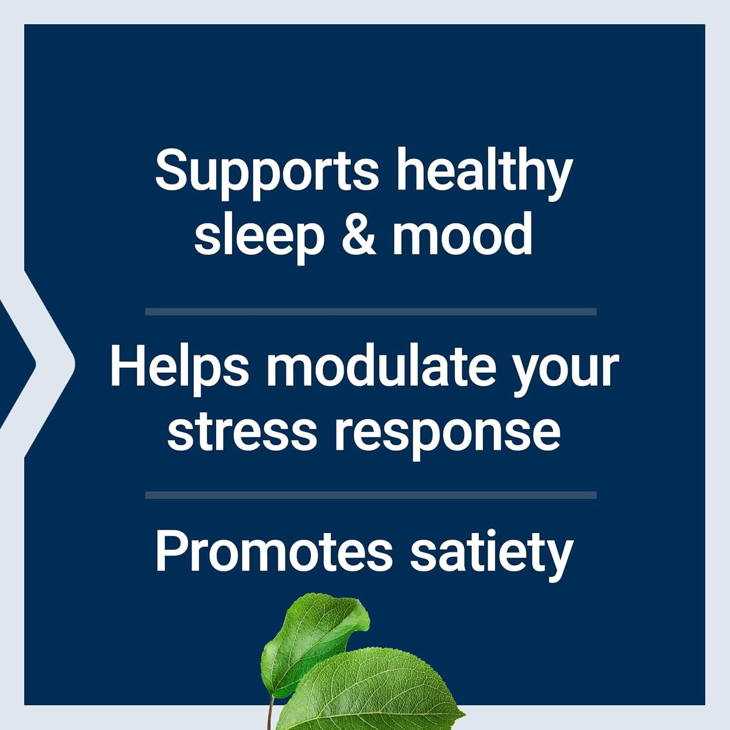 L-Triptófano Life Extension 500 mg 90 Cápsulas Vegetarianas