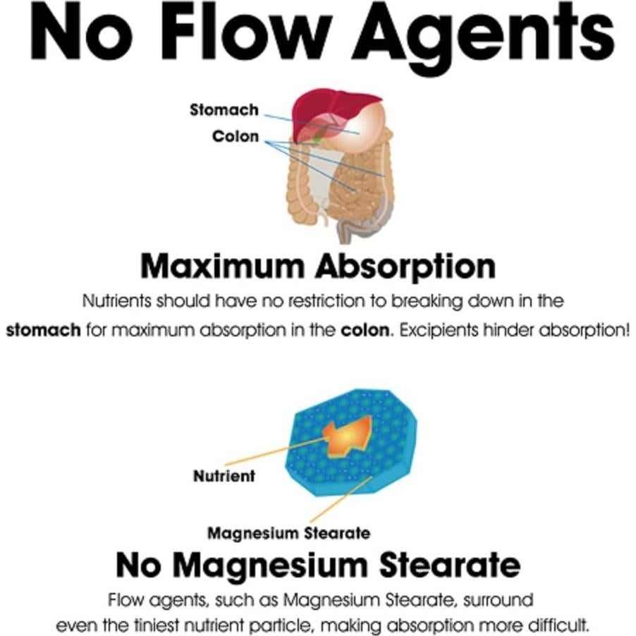 Suplemento Vegetariano Ornithine 500 mg Dr. Clark 100 Cápsulas