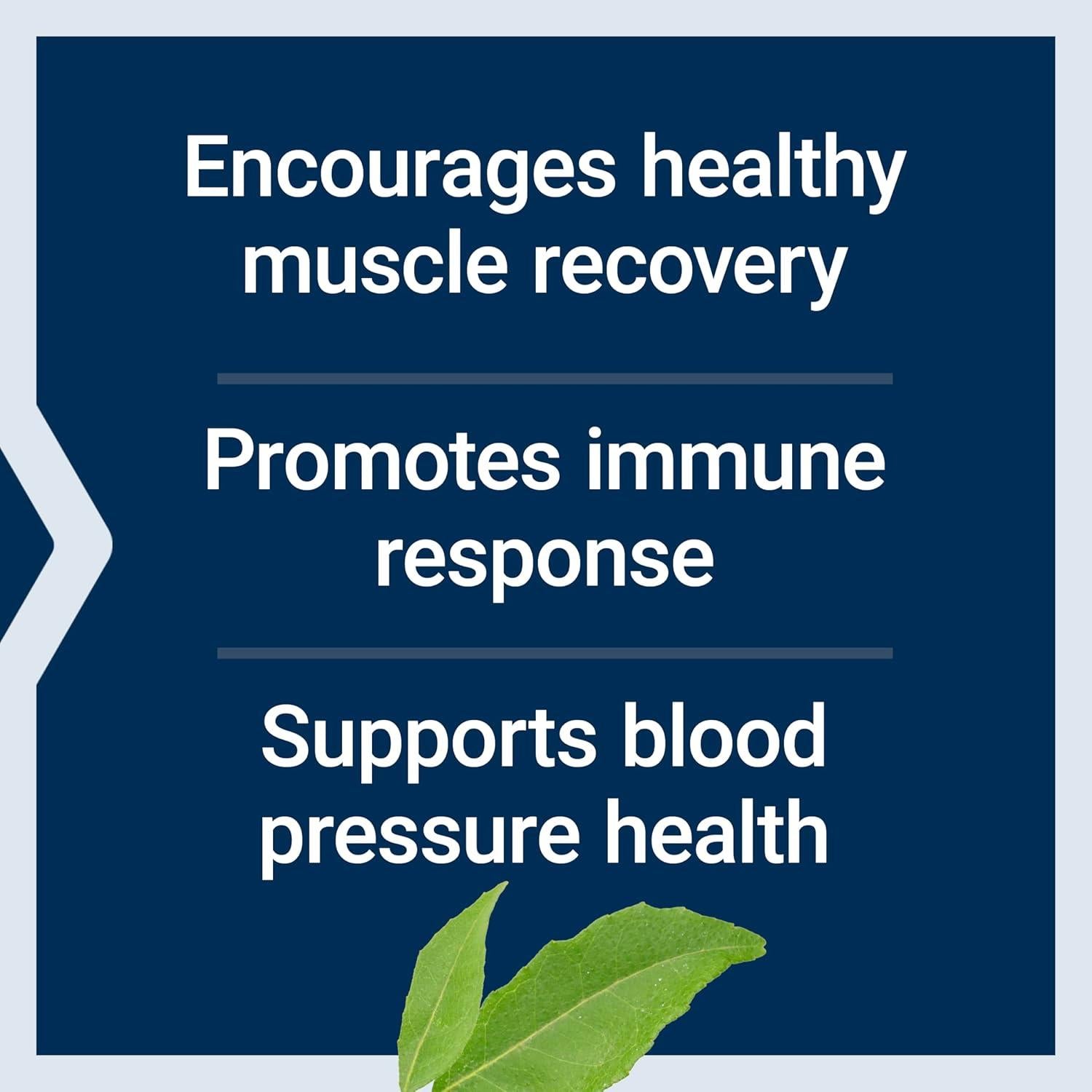 Polvo de Arginina Ornithina Life Extension 150g Sin Gluten