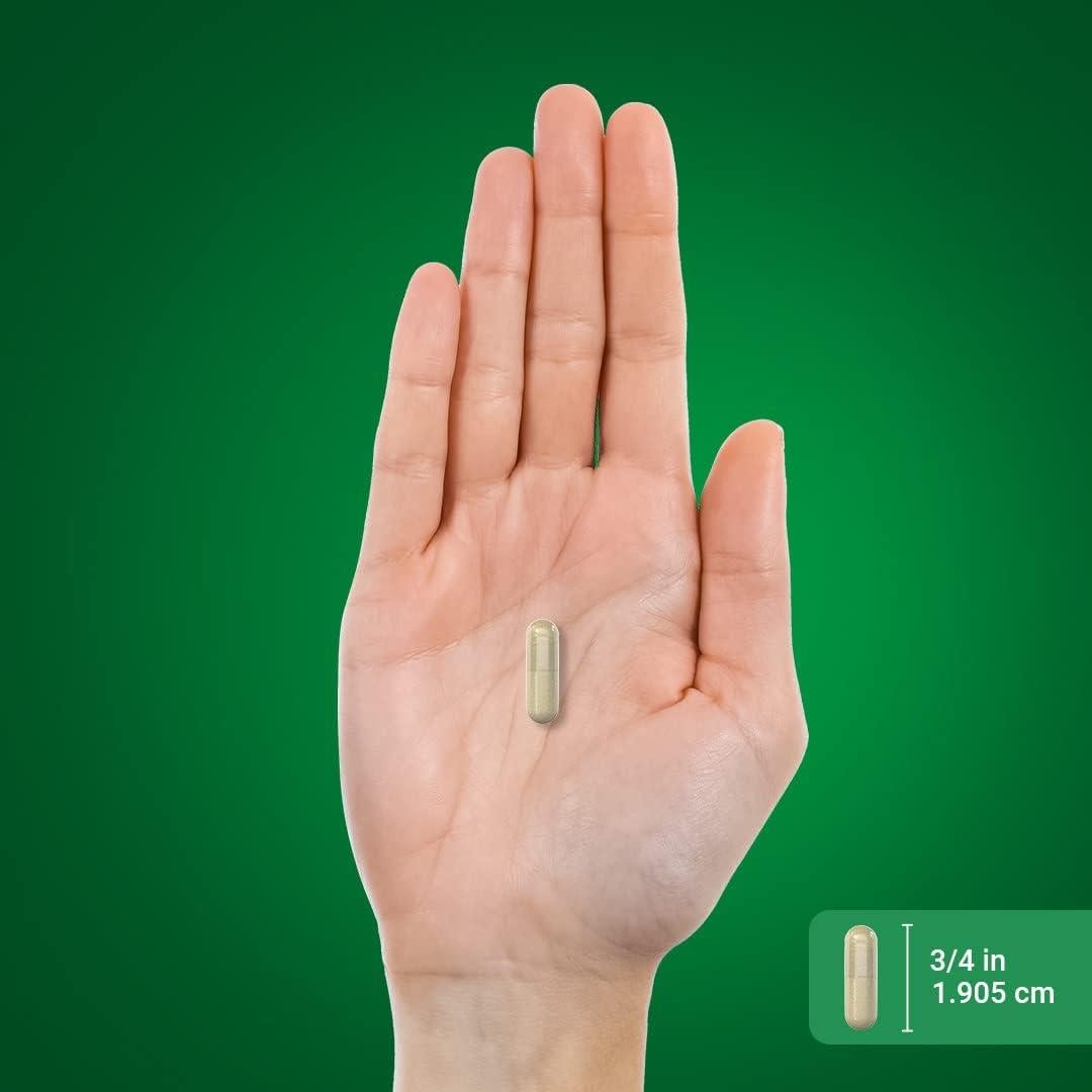 Suplemento de Lúpulo Piping Rock 700mg 180 Cápsulas No OGM