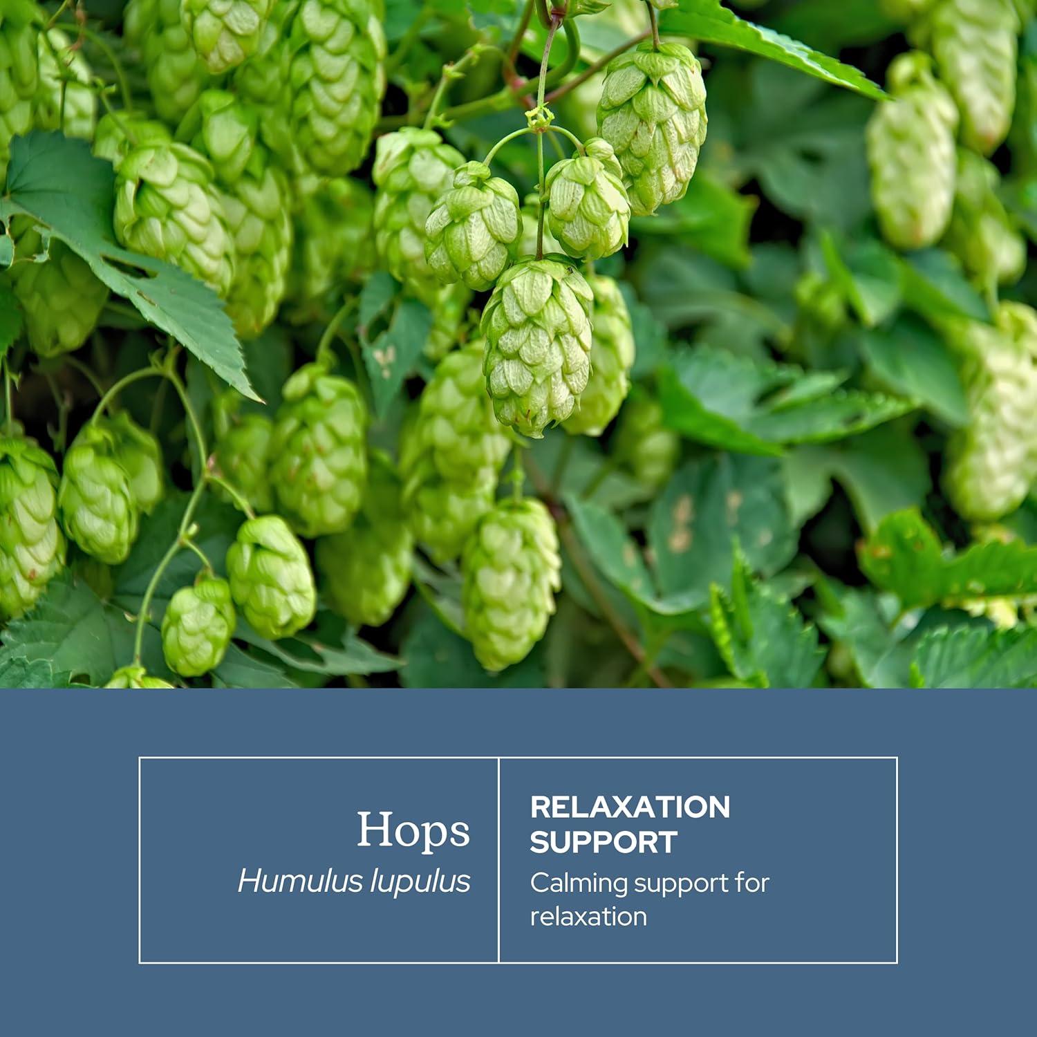Cápsulas de Lúpulo Ecléctico 90 CT | Suplemento Herbal Vegano