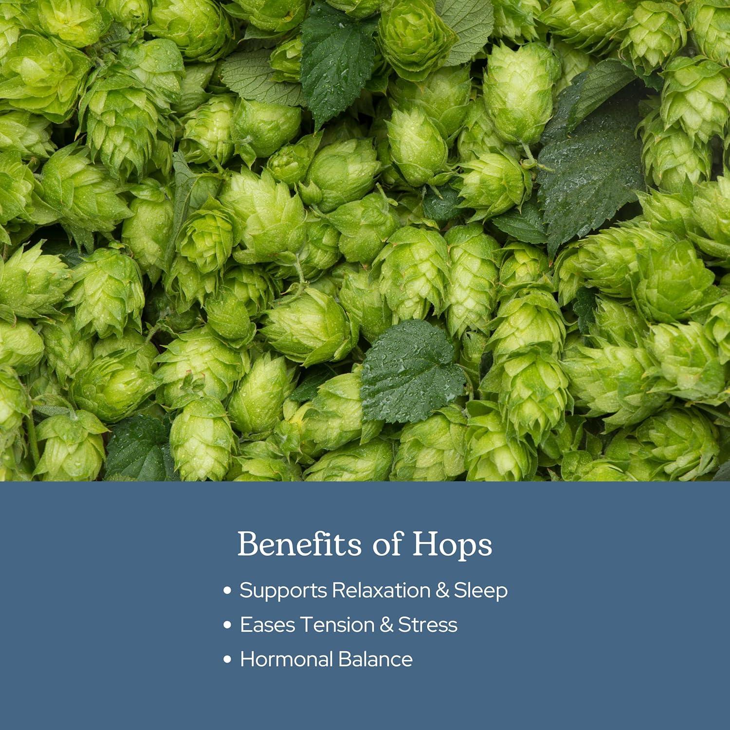 Cápsulas de Lúpulo Ecléctico 90 CT | Suplemento Herbal Vegano